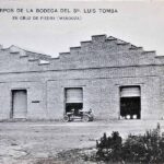 Bodega Tomba_ En Cruz de Pieda (Luis Tomba) (s.d). Autor desconocido. Tarjeta postal, 88 x 137 mm. Archivo B+M