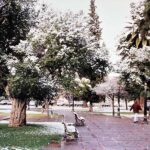 Serie plaza Godoy Cruz_ un día de invierno (2001). Autor desconocido. Fotografía,121 x 184 mm. Archivo B+M_